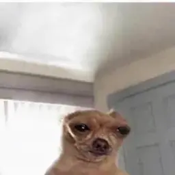 Analgin4ik_inactive4291856