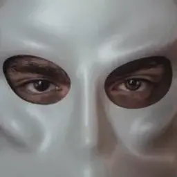 face2face_inactive4360300