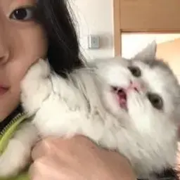 МатьТроихДетей