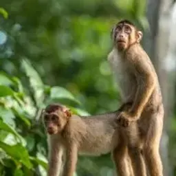 pencils_inactive4473843