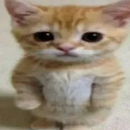 geremy_inactive4689284