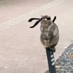 pro100smoki_inactive4841859