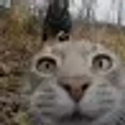 Danyyyy_inactive5067951