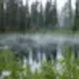 Donald_inactive5160152