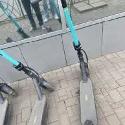 ШАЛУНОЗАВР