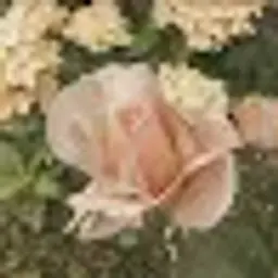 Елизаветагер