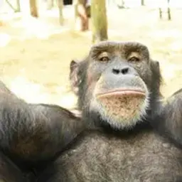 special_inactive4342767