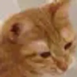 device777_inactive5351562