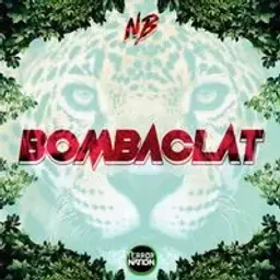 bombaclat_inactive5429951