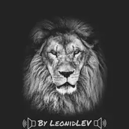 LeonidLEV