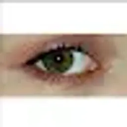 Fragile_inactive5516124