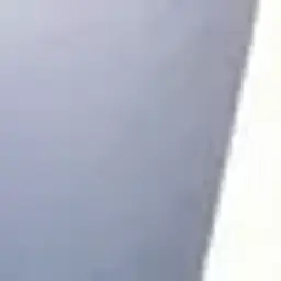 Dzenn_inactive5485150