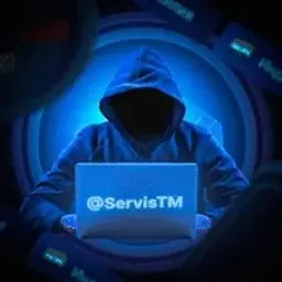 ServisTM