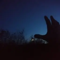 xZGx_inactive2269361