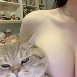 TECAK_inactive2269856