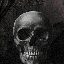 ChiSto_inactive2278411