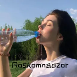 Roskomnadzor_inactive