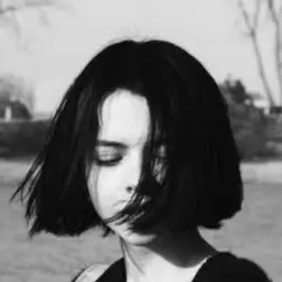 Шкила_inactive2478205