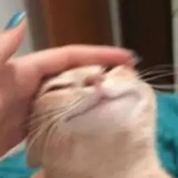 Joiner_inactive2551574