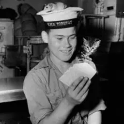 Morya4ok_inactive2910762