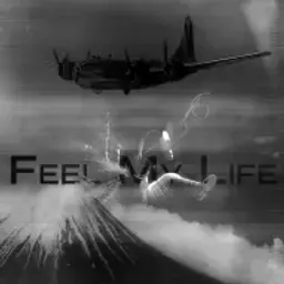 FeelMyLife