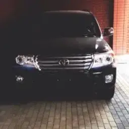 Kris1_inactive3221526