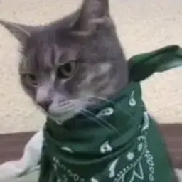 dexxx_inactive3882209