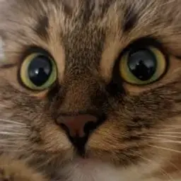 вху_неактив3941028