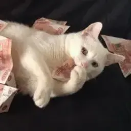 KRuX_inactive3984723