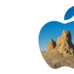 cated_inactive904579