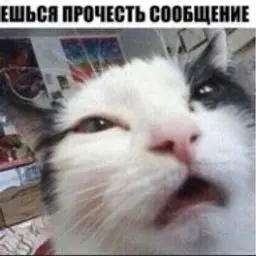 TimkaGames_inactive998595