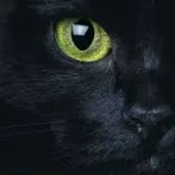 Jerry9_inactive2210140