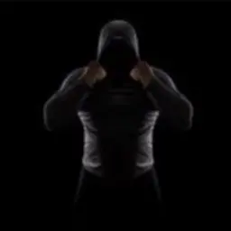 DASH228_inactive2222914