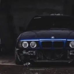 aidarhan_inactive2268129