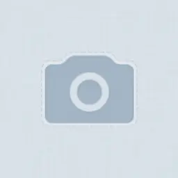 NIKIST_inactive2411632