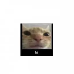 qwerttt_inactive2538153