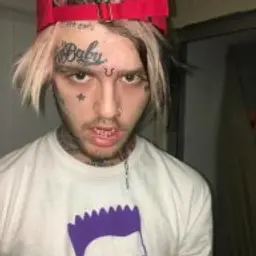 LilFlex_inactive2572655