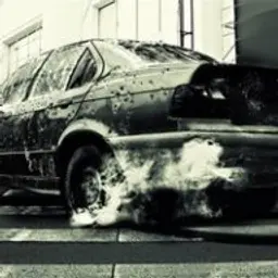 Cahu_inactive2575596