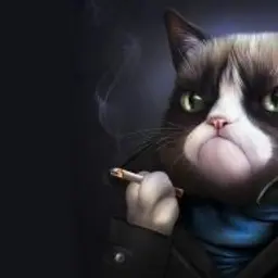 BRIGA_inactive2667120