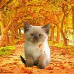 MGSHER_inactive2758445