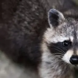 wexx_inactive2781056