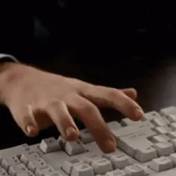 timz_inactive2832776