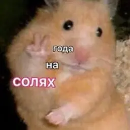 Feya_inactive2934518