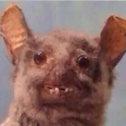 Crutch_inactive2937522