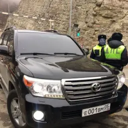 whywhywhy_inactive5274196