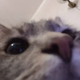 милфхантер1337