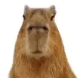 Bebrik22_inactive5641276