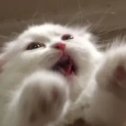 АртёмАнгел