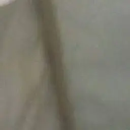 Dizen_inactive984293