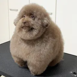 Ебучий_неактив7221322